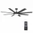 Parrot Uncle F6105110V