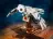 Lego 75979 Hedwig (Букля)
