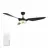 CARRO USA LS603F-L13-B2-1