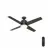 Hunter 59366