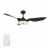 CARRO USA LS523F-L12-B2-1