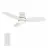 CARRO USA LS483Q6-L12-W1-1-FM