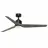 Fanimation FPD8514BLW-60WEW-LK