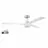 Craftmade PHB60WPLN3