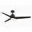 Fanimation FPD8514DZW-60DWAW-LK