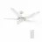 CARRO USA LS525B-L22-W1-1G