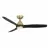 Modern Forms FR-W2202-54L-SB/MB