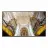 Samsung QB55N