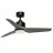 Fanimation FPD8514BLW-44WEW-LK