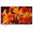 Sony KD65X8500F
