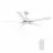 CARRO USA LS525J-L12-W1-1G