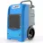 EdenDirect ZJOLRY23060701