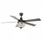 Parrot Uncle F6285110V