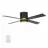 CARRO USA LWGS-524G-L12-B2-1FM