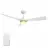 CARRO USA LS523P2-L22-W1-1