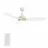 CARRO USA LS483Q6-L12-W1-1A