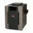 Raypak RAY009220