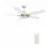 CARRO USA LS525B4-L12-W1-1G