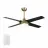 CARRO USA LWGS-484C-L11-G2-1