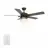 CARRO USA LWGS-525H-L11-AG-1