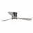 Parrot Uncle F6299BK110V