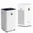 EdenDirect JECSJAP1128