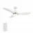 CARRO USA LS523Q7-L12-W1-1A