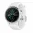 Garmin Fenix 5s Plus