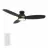 CARRO USA LS483Q5-L12-B2-1-FM