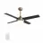 CARRO USA LWGS-524C-L11-G2-1