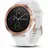 Garmin vivoactive 3