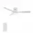 CARRO USA LS483P-L12-W1-1-FM