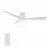 CARRO USA LS523P-L12-W1-1-FM